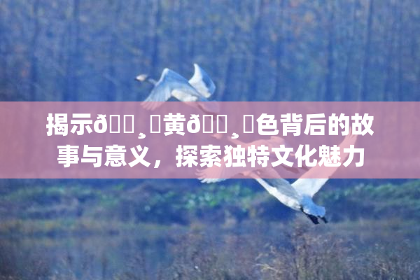 揭示🌸‌黄🌸‌色背后的故事与意义，探索独特文化魅力