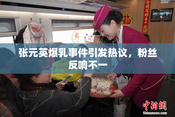 张元英爆乳事件引发热议，粉丝反响不一