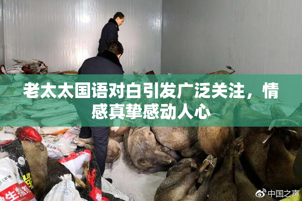 老太太国语对白引发广泛关注，情感真挚感动人心