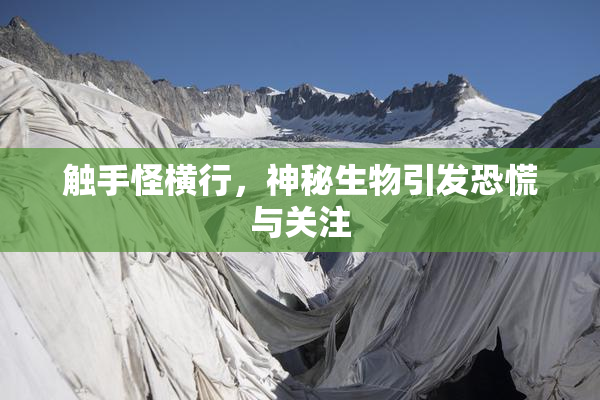 触手怪横行，神秘生物引发恐慌与关注