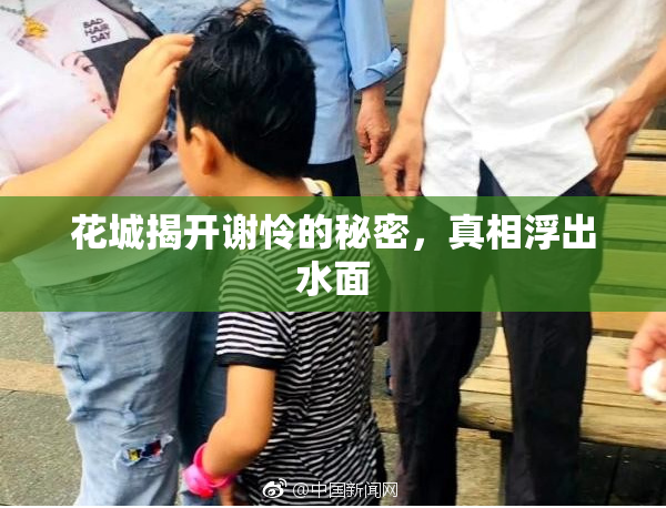 花城揭开谢怜的秘密，真相浮出水面