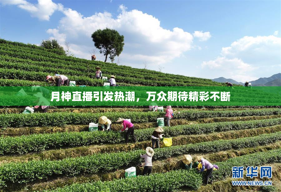 月神直播引发热潮，万众期待精彩不断
