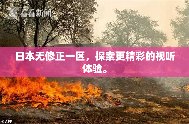 日本无修正一区，探索更精彩的视听体验。