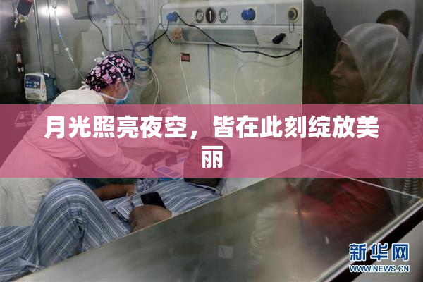 月光照亮夜空，皆在此刻绽放美丽