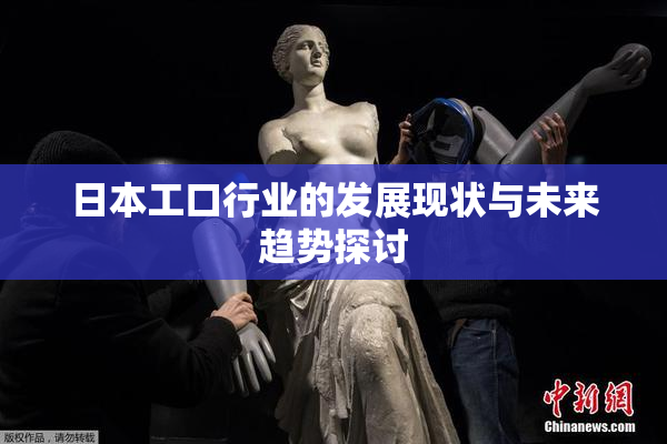 日本工口行业的发展现状与未来趋势探讨