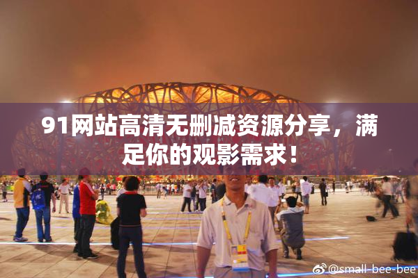 91网站高清无删减资源分享，满足你的观影需求！
