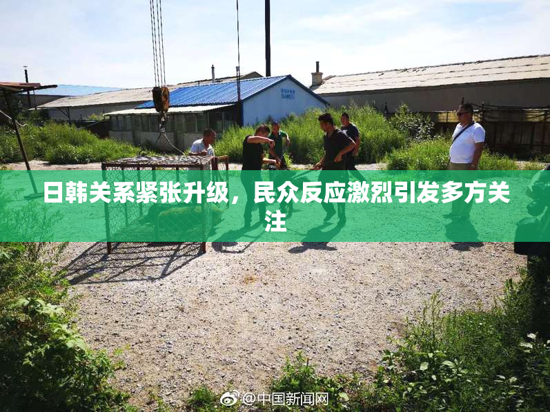 日韩关系紧张升级，民众反应激烈引发多方关注