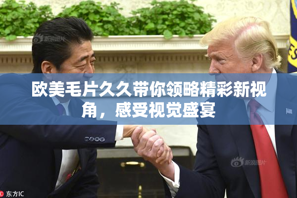 欧美毛片久久带你领略精彩新视角，感受视觉盛宴
