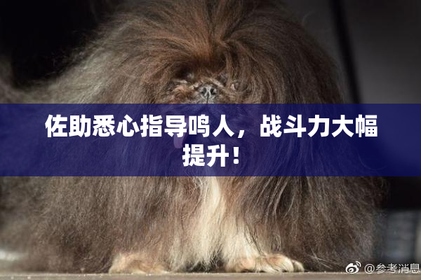 佐助悉心指导鸣人，战斗力大幅提升！