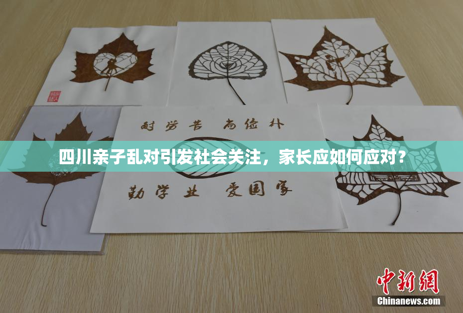 四川亲子乱对引发社会关注，家长应如何应对？