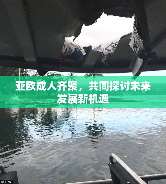 亚欧成人齐聚，共同探讨未来发展新机遇