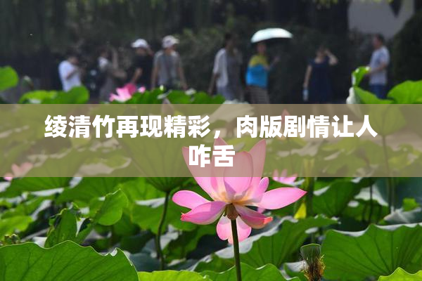 绫清竹再现精彩，肉版剧情让人咋舌