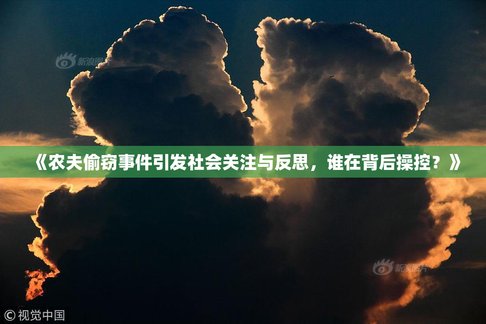 《农夫偷窃事件引发社会关注与反思，谁在背后操控？》