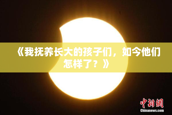 《我抚养长大的孩子们，如今他们怎样了？》