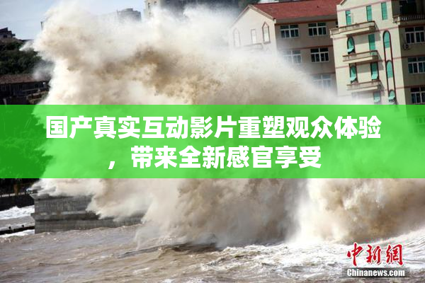 国产真实互动影片重塑观众体验，带来全新感官享受