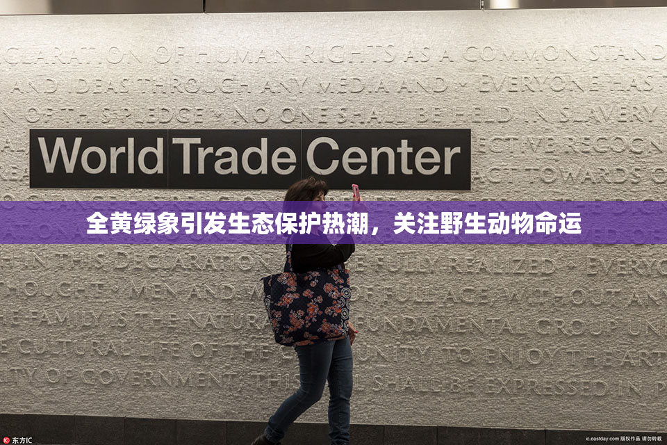 全黄绿象引发生态保护热潮，关注野生动物命运