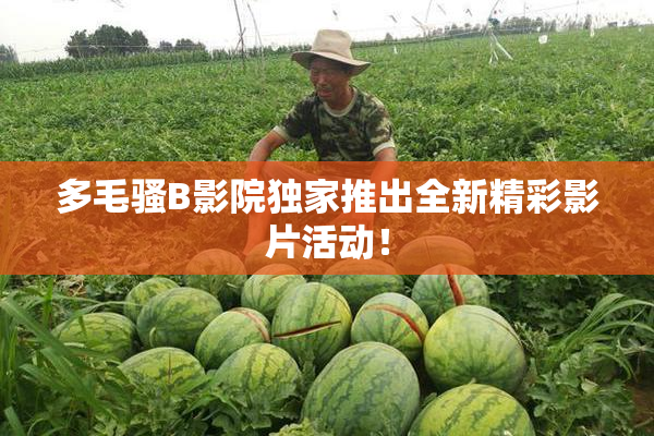多毛骚B影院独家推出全新精彩影片活动！