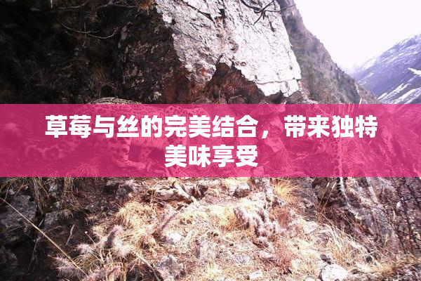 草莓与丝的完美结合，带来独特美味享受