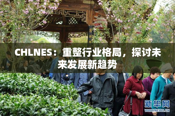 CHLNES：重整行业格局，探讨未来发展新趋势