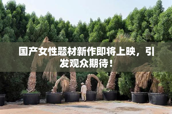 国产女性题材新作即将上映，引发观众期待！