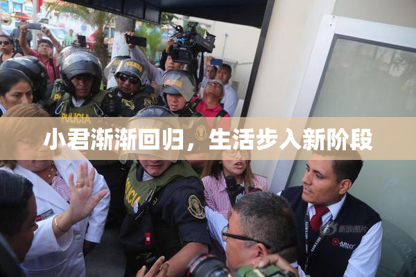 小君渐渐回归，生活步入新阶段
