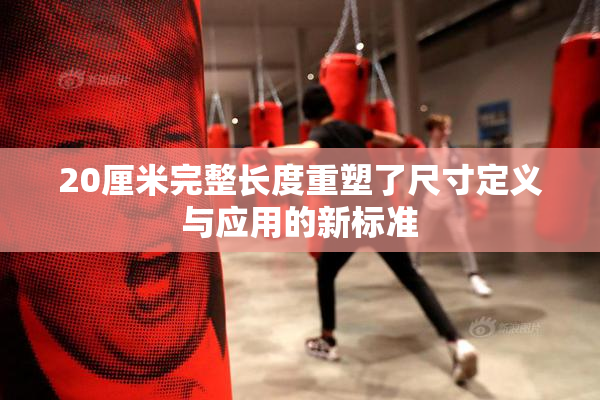 20厘米完整长度重塑了尺寸定义与应用的新标准