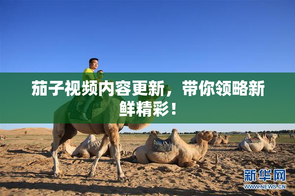 茄子视频内容更新，带你领略新鲜精彩！
