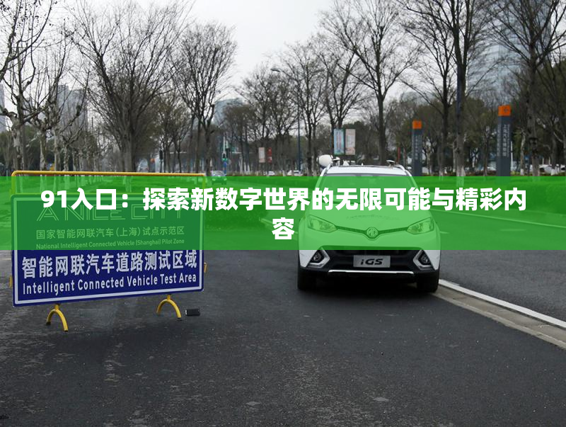 91入口：探索新数字世界的无限可能与精彩内容
