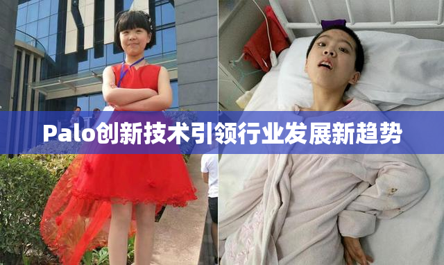 Palo创新技术引领行业发展新趋势