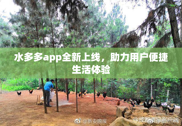 水多多app全新上线，助力用户便捷生活体验