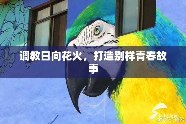 调教日向花火，打造别样青春故事