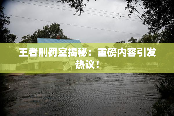 王者刑罚室揭秘：重磅内容引发热议！