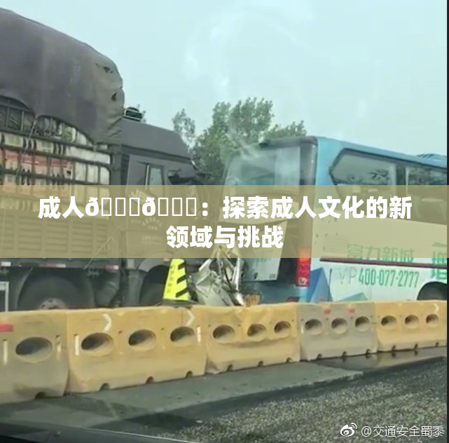 成人🍆🍑：探索成人文化的新领域与挑战