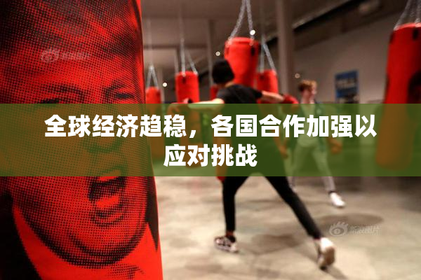 全球经济趋稳，各国合作加强以应对挑战