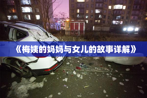 《梅姨的妈妈与女儿的故事详解》