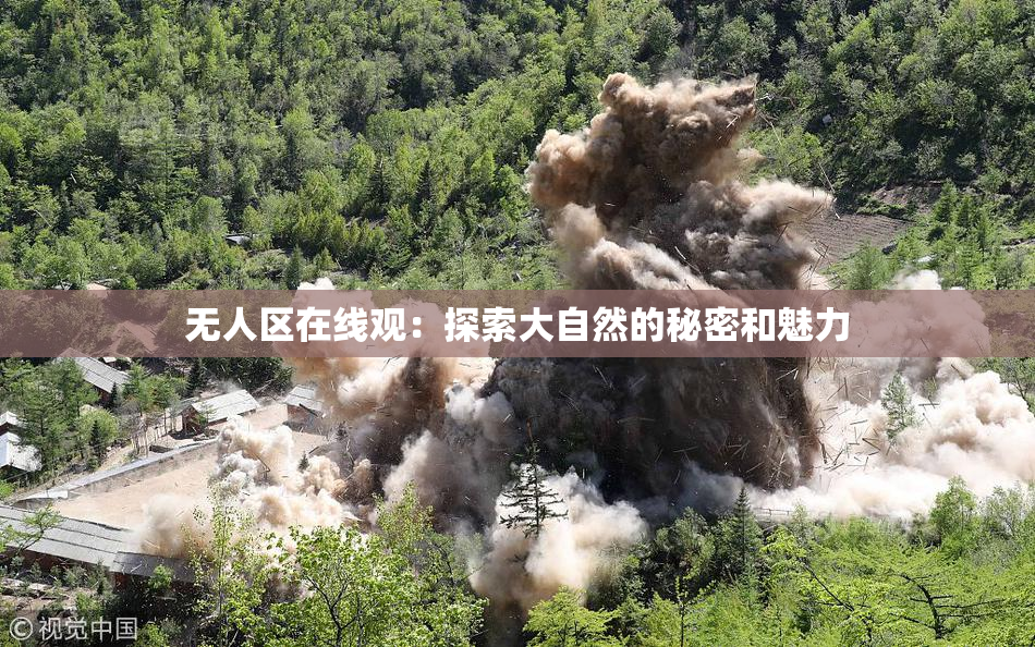 无人区在线观：探索大自然的秘密和魅力