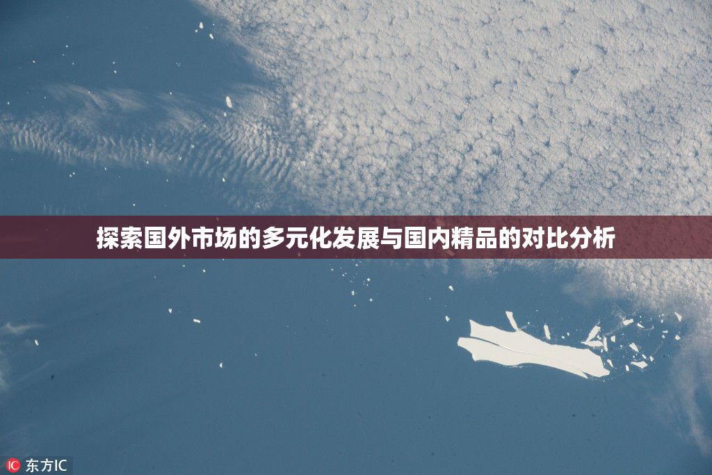 探索国外市场的多元化发展与国内精品的对比分析