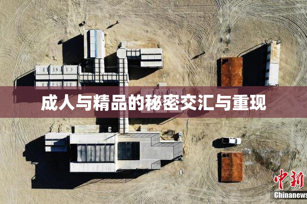 成人与精品的秘密交汇与重现