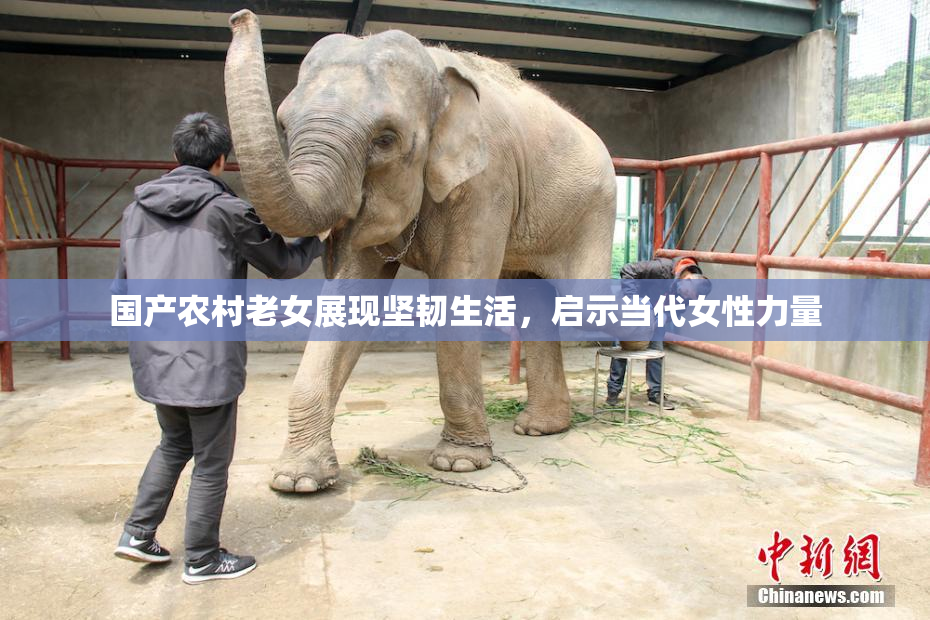 国产农村老女展现坚韧生活，启示当代女性力量
