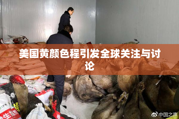 美国黄颜色程引发全球关注与讨论