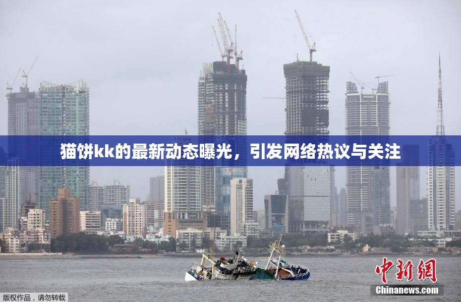 猫饼kk的最新动态曝光，引发网络热议与关注