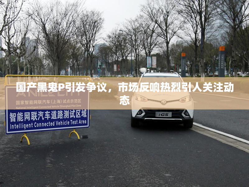 国产黑鬼P引发争议，市场反响热烈引人关注动态
