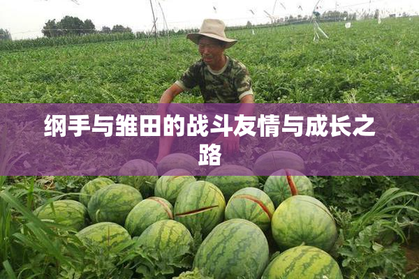 纲手与雏田的战斗友情与成长之路