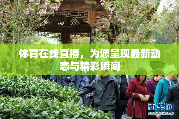 体育在线直播，为您呈现最新动态与精彩瞬间