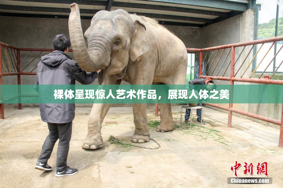 裸体呈现惊人艺术作品，展现人体之美