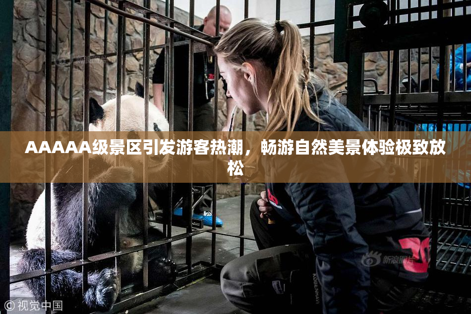 AAAAA级景区引发游客热潮，畅游自然美景体验极致放松