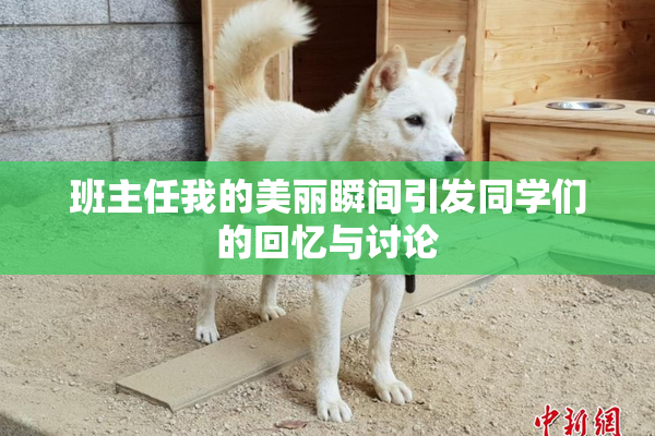 班主任我的美丽瞬间引发同学们的回忆与讨论