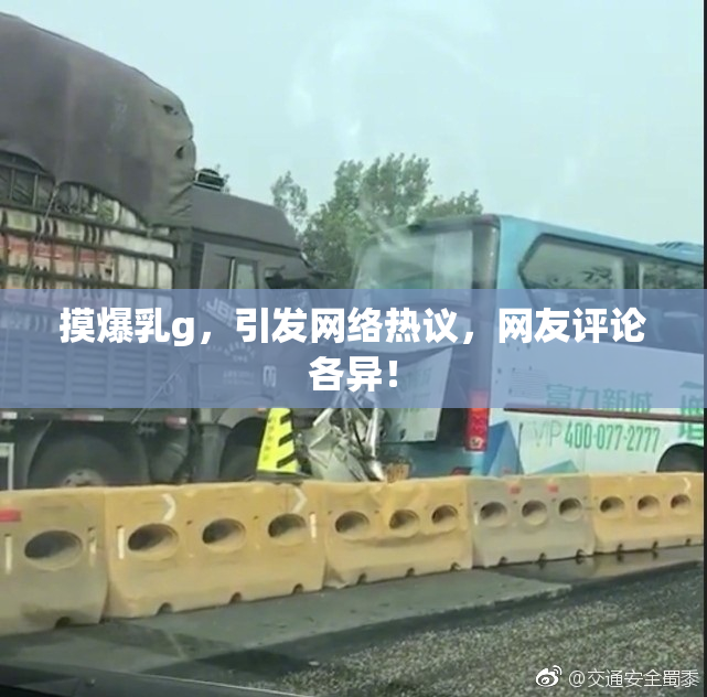 摸爆乳g，引发网络热议，网友评论各异！