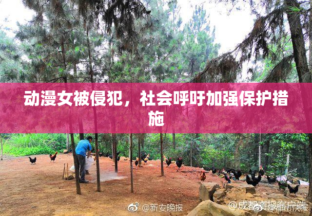 动漫女被侵犯，社会呼吁加强保护措施