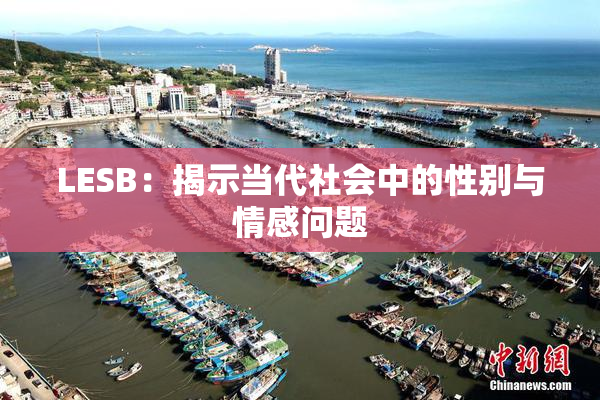 LESB：揭示当代社会中的性别与情感问题